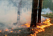 «Кедровый» напоминает охотникам о правилах пожарной безопасности в лесах